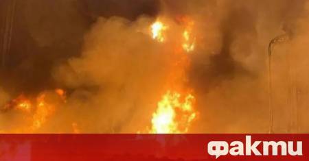 Жена загина в резултат на нападение с дронове извършено срещу