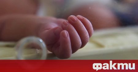 Лекарите отчитат бум на бебета в София и Пловдив по