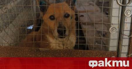 Прокуратурата води разследване във връзка със случай при който на