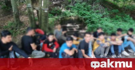 69 нелегални мигранти са задържани в гората над Ихтиман, предаде