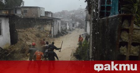 Властите в североизточния бразилски щат Пернамбуко съобщиха снощи че вече