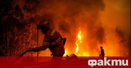 Стотици пожарникари се бориха с пожара, бушуващ в португалска община