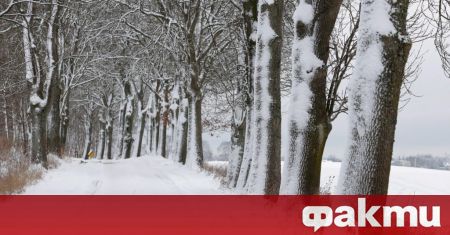 Студ и сняг бяха регистрирани в много части от Европа