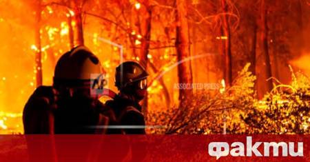Европа е обхваната от критична вълна от горски пожари която