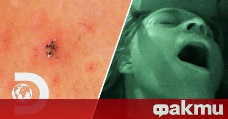 Любовни страсти на площад Първомайски в руския град Новосибирск завършиха