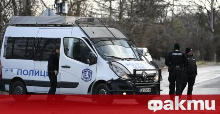 10 души са собственици на парцела на който беше дървото