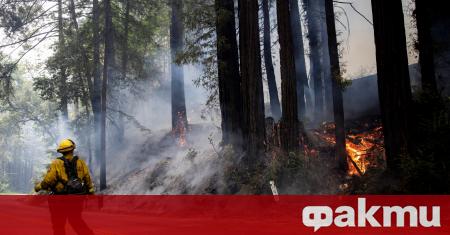 Горските пожарите избухнали в Северна Калифорния продължават да се разрастват