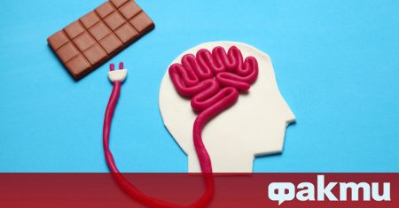 Учени установиха че флаванолите органични вещества намиращи се в какаото