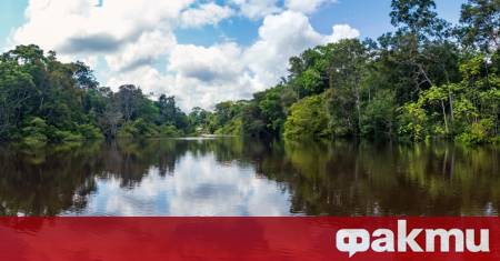 Международен екип от еколози е открил доказателства че региони на