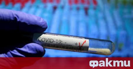 549 са случаите на новозаразени с коронавирус през последните 24