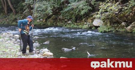 Родопският град Девин тази седмица е домакин на финалите на