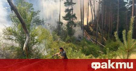 Потушен е мащабният пожар който избухна привечер край кюстендилското село