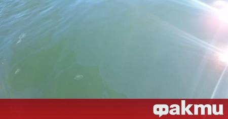 Ако метеорологичните условия позволяват днес се очаква да бъде подновено