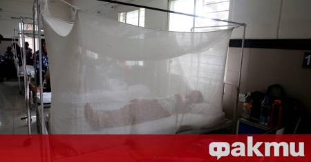 Първи случай на вируса на треската чикунгуня е потвърден в