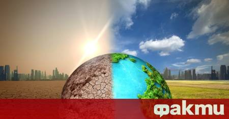 Световният ден на околната среда е учреден от ООН през