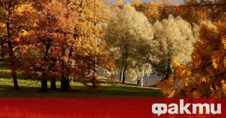 Климатологът проф Георги Рачев прогнозира изключително приятно време в началото