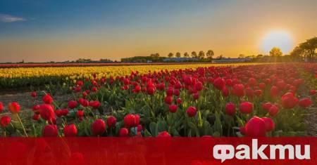 Времето в България ще предложи класическа лятна динамика Очаква ни