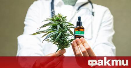 В свят където употребата на канабис все по често се приема