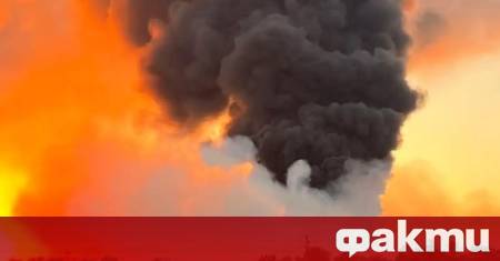 Големият горски пожар в района на село Горнослав е овладян