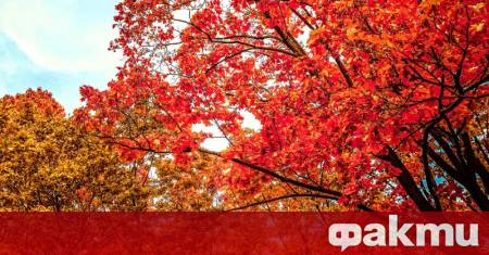 Днес ще е слънчево с временни увеличения на облачността по значителни