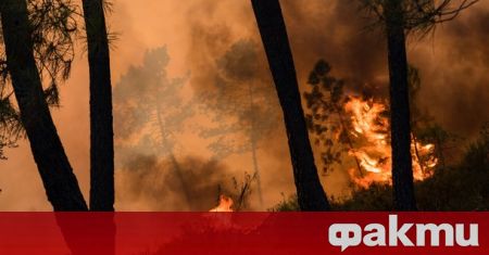 Пожар е обхванал близо 300 декара на територията на военния
