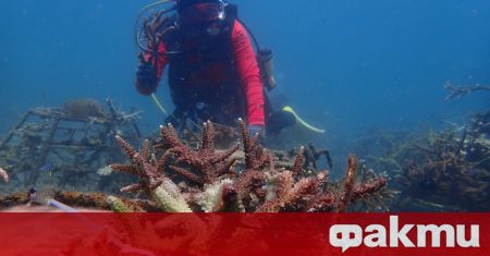 Нова подводна археологическа експедиция се провежда в момента в района