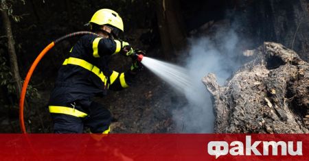 Горски пожар който от няколко дни бушуваше в националния парк
