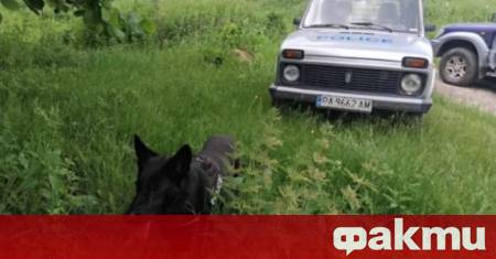 Откриха невредим 75 годишния мъж който изчезна в района на