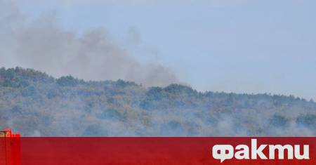 Пожарите в страната са видими и от космоса Чрез европейската система