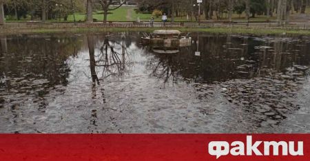 Езерото с лилиите в Борисовата градина в София прелива съобщиха