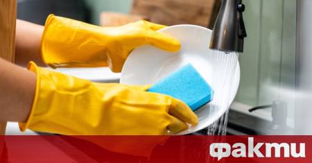 Обикновената кухненска гъба присъстваща в почти всяко домакинство може да