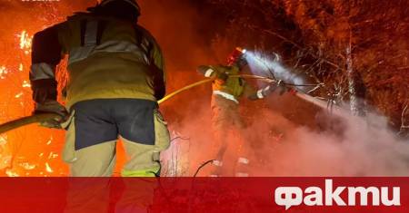 Броят на жертвите от опустошителния горски пожар в автономната област