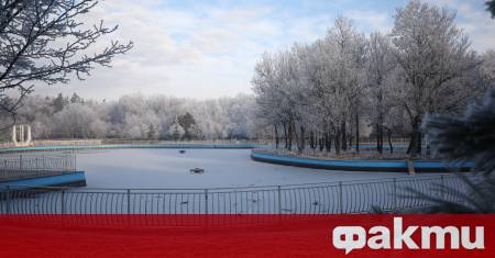 Останки от човешки крайници са били открити в Северния парк