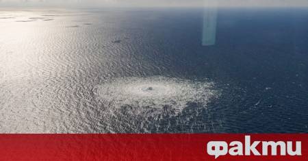 В продължение на три години екип от елитни детективи се