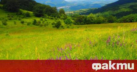 Преди обяд ще бъде предимно слънчево предаде БНР След обяд ще