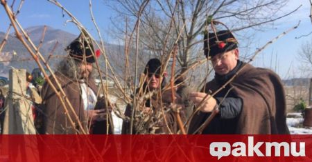 Българската традиция почита Трифон Зарезан и празника на лозята Рано