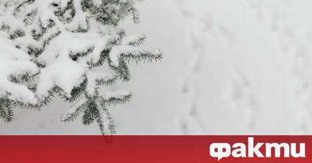 Дъжд вали над почти цялата страна Сняг вали в областите