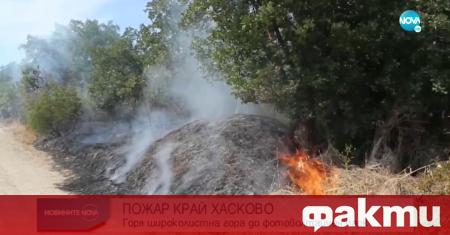 Пожар избухна вчера следобед в гора между Хасково и Димитровград