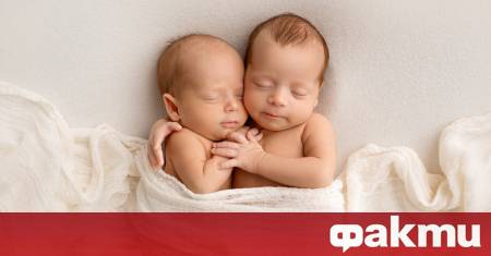 Трима израелски братя станаха бащи на четири деца родили се