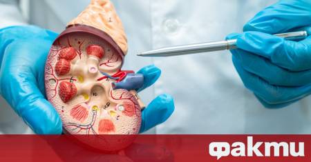 След повече от десетилетие целенасочени изследвания учените са все по