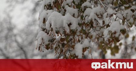 Близо 80 см сняг натрупа във високопланинските села от община