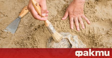 Китайски археолози откриха фосилизиран череп на един милион години принадлежащ