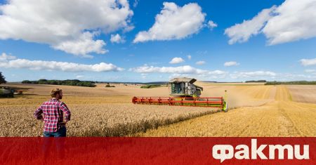 Британското правителство ще позволи на фермерите да приемат 30 000