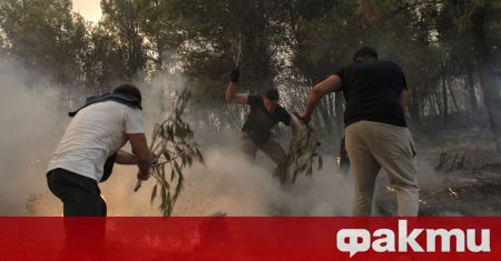 С активна международна помощ Гърция продължава гасенето на пожарите С