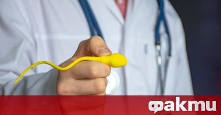 Ново изследване публикувано в списанието Human Reproduction показва че не