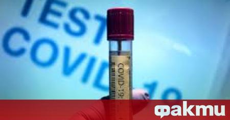 17 са случаите на новозаразени с коронавирус през последните 24