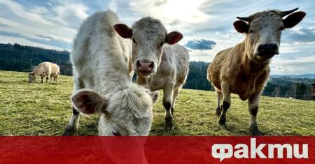 Необичаен инцидент в Германия превърна районна болница в провинция Хесен