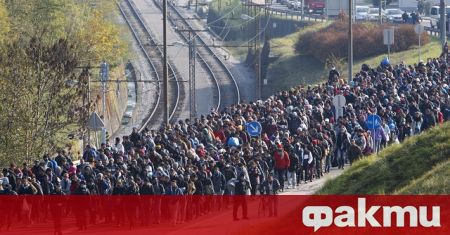 Броят на търсещите убежище в Европейския съюз е спаднал с