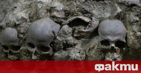Археолози разкопаващи прочута ацтекска кула от черепи в Мексико Сити