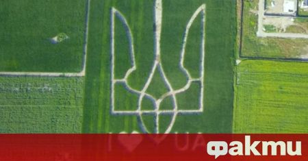 Украински фермери отбелязаха националния празник на страната по оригинален начин